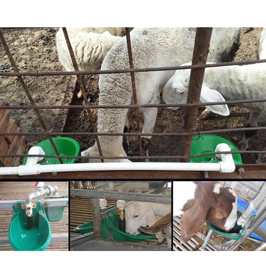 Automatic Water Bowl with Metal/Plastic (Fits for 20mm ),Automatic for Livestock Pet Sheep Pig Piglets Dogs