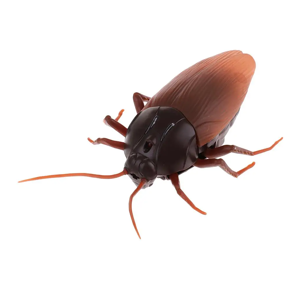 Remote Control Roach  Halloween Trick Terrifying Mischief