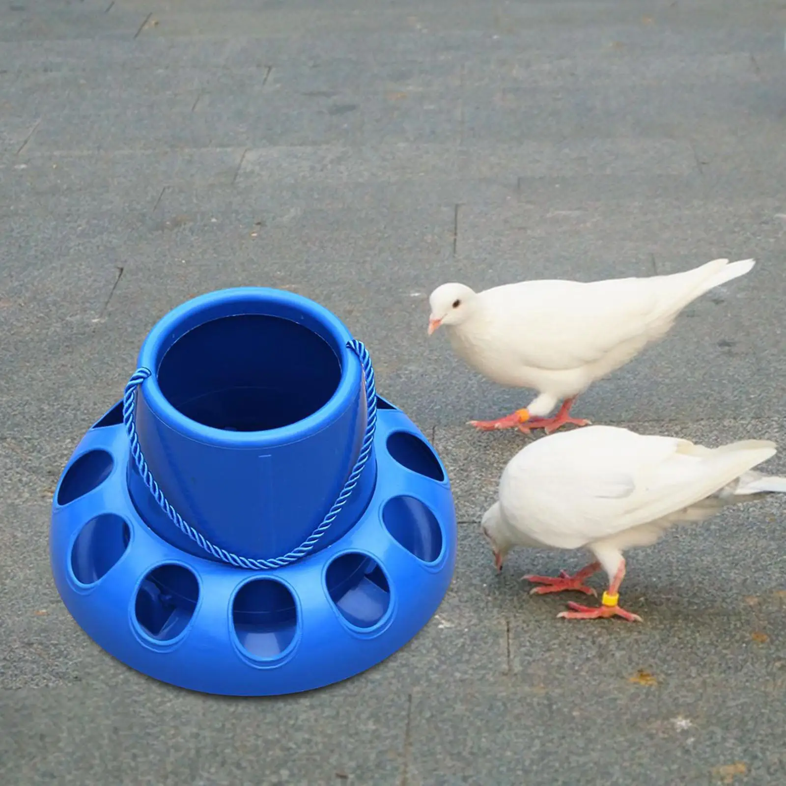 Chicken Feeder Automatic Bird Feeding Bucket Backyard 11 Holes for Chook Hen Budgie Quail Cockatiel Pigeon