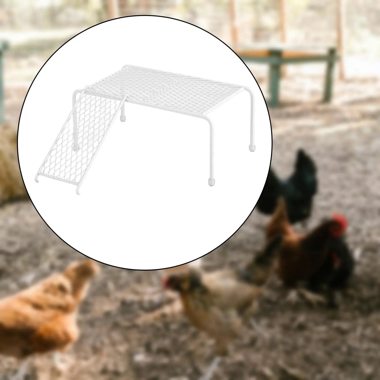 Stainless Steel Farmhouse Storage Rack Climbing Ladder White Durable Mesh Chicken Feeding Platform for Feeding Supplies