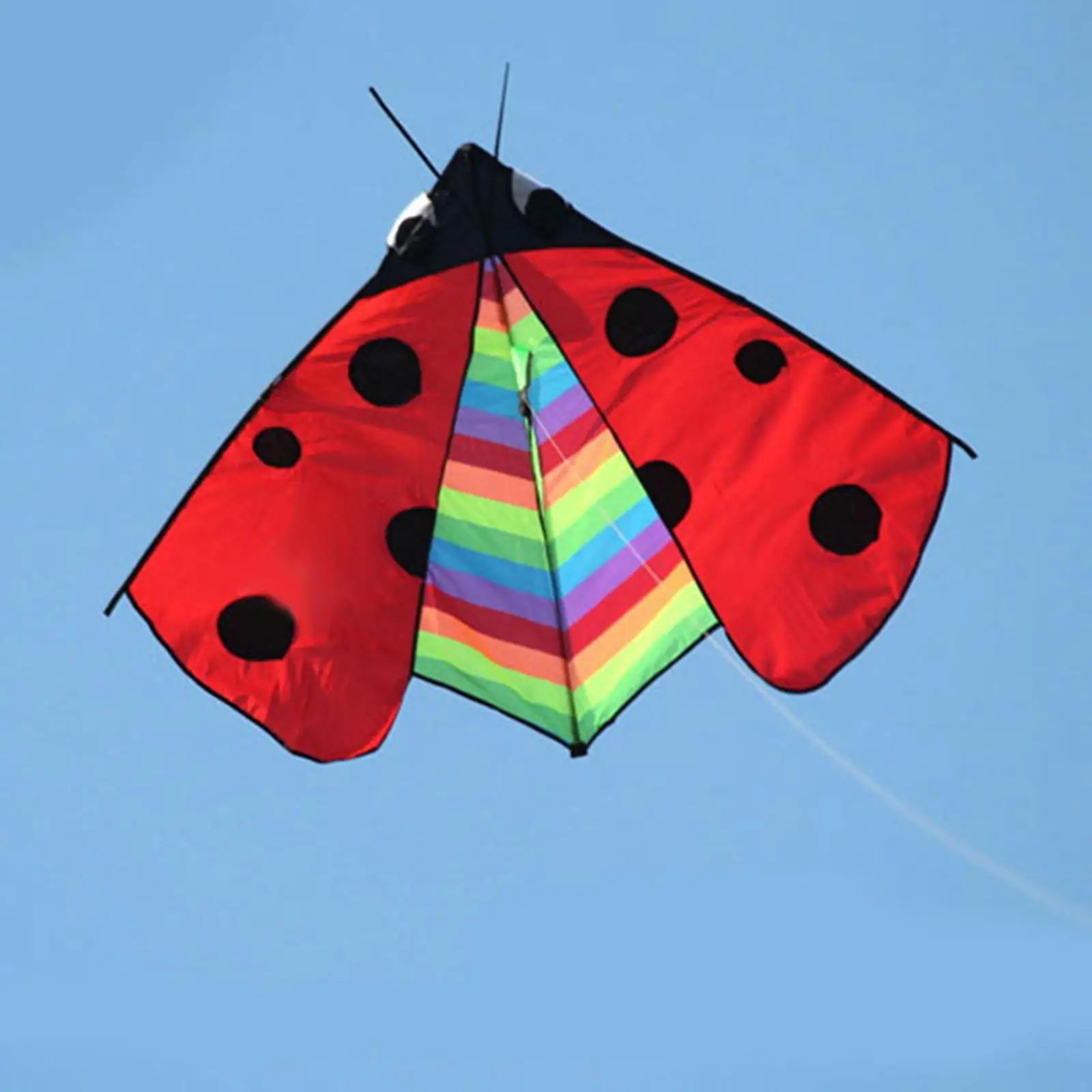 Colorful Delta Kite Fly Kite Flying Toys Single Line Easy to Fly Huge Wingspan Triangle Ladybug Kite for Garden Family Trips