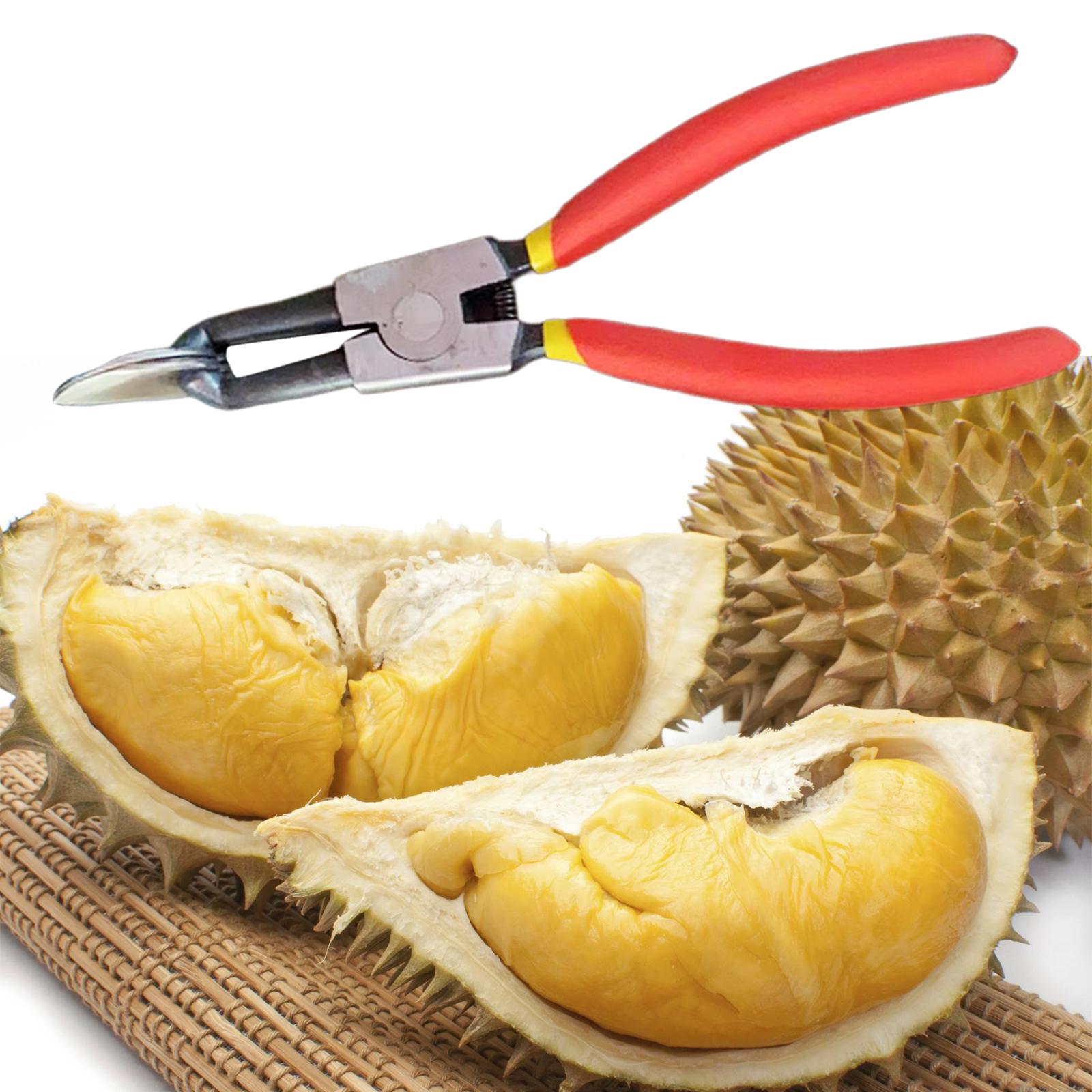 Practical Durian Opener Peeling Smooth Save Labors Fruit Durian Shell Opener Clip for Cooking Grocery Restaurant Fruits Shop