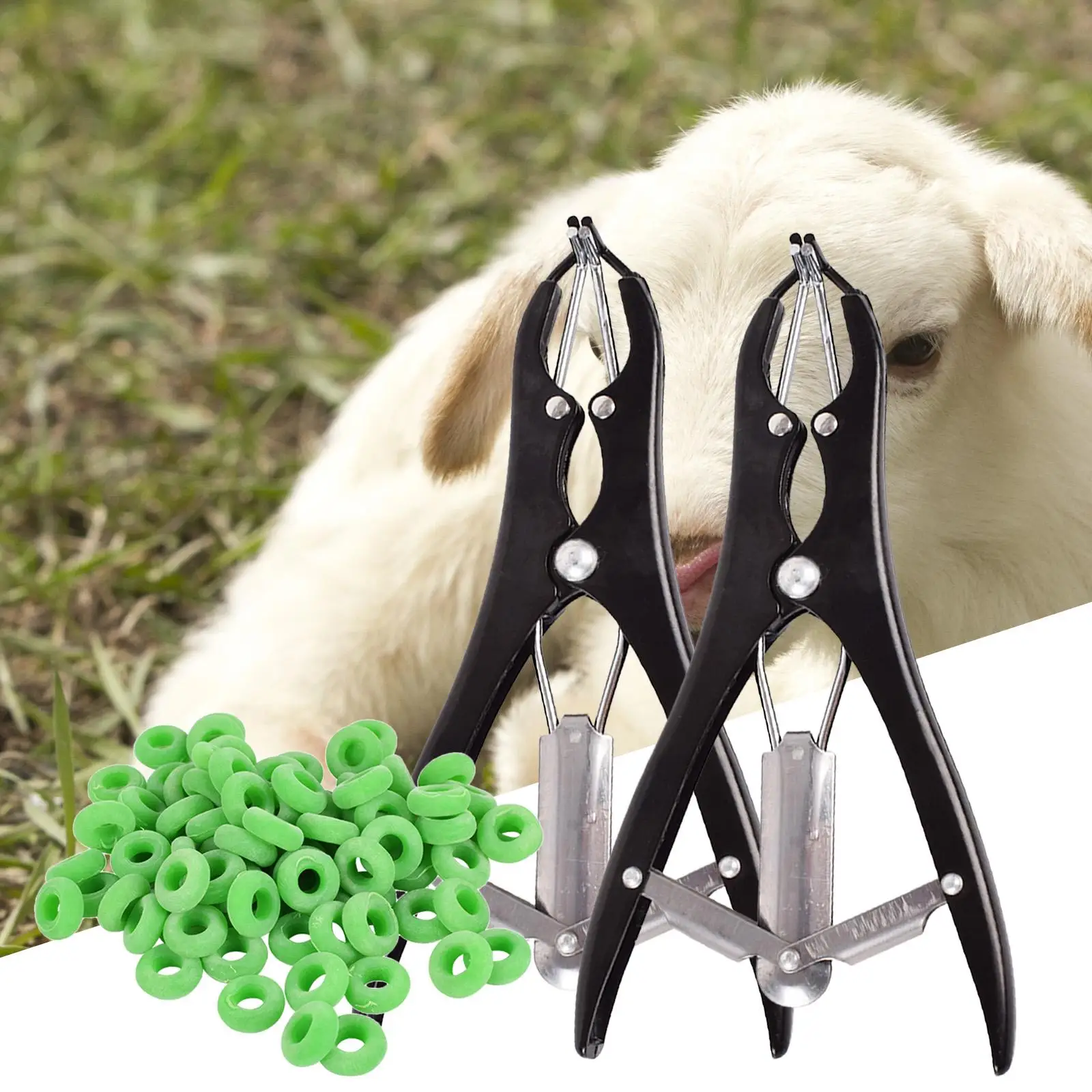 Castration Plier Livestock Supplies   Cutting Clamp for Sheep Goat