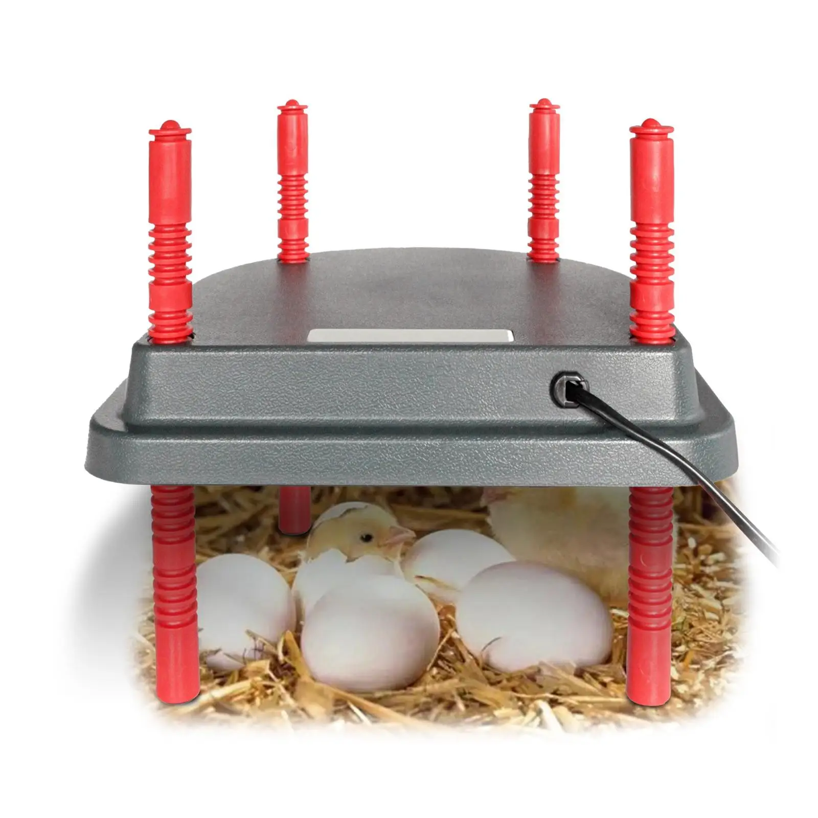 Chicken Coop Brooder Heater Adjustable Height Duckling Fittings Pet Supplies Incubator Keep Warm Durable Pad Durable US Plug