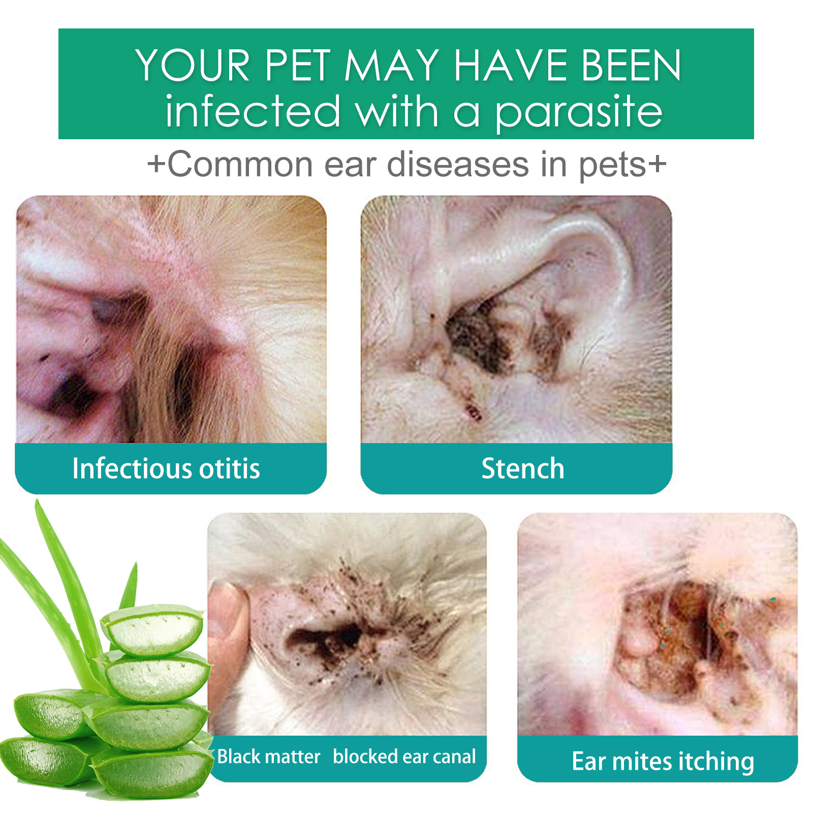 Cat Dog Ear Cleaner Anti Infection Control Mite Tick Avoid Deafness Removes Ear Stain Odor Remover Relieve Itching Pet Ear Drops