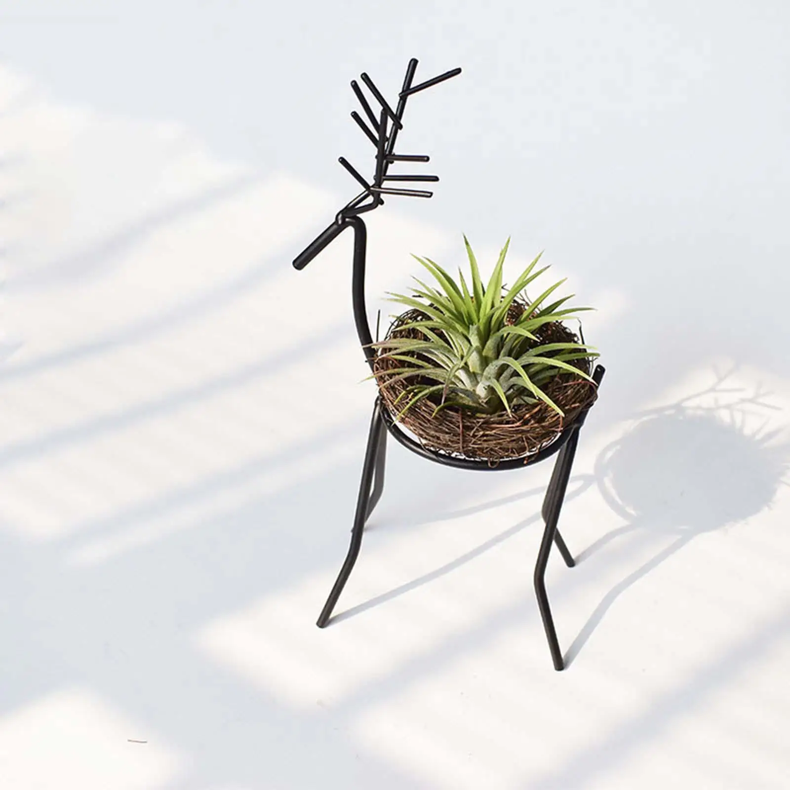Metal Air Plant Holder Hanger Display Container Indoor Tillandsia Container for office Living Room Table Centerpiece Desktop