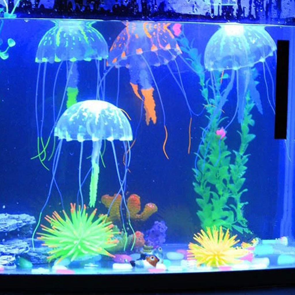 Title 1, Aquarium fluoreszierend leuchtende Schönheit kü...