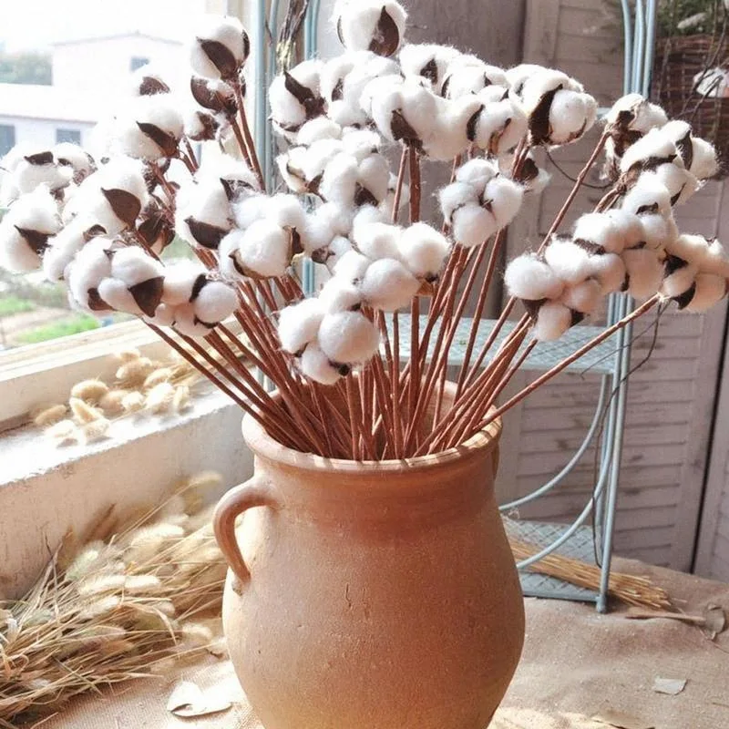 Naturally-Dried-Cotton-Flowers