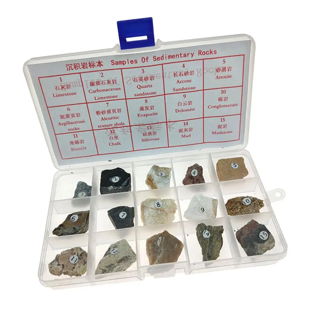 15 Pieces Sedimentary Rock Specimen Mineral Rock Stone Collection Kit Geology Science Kit Educational Toy for Children