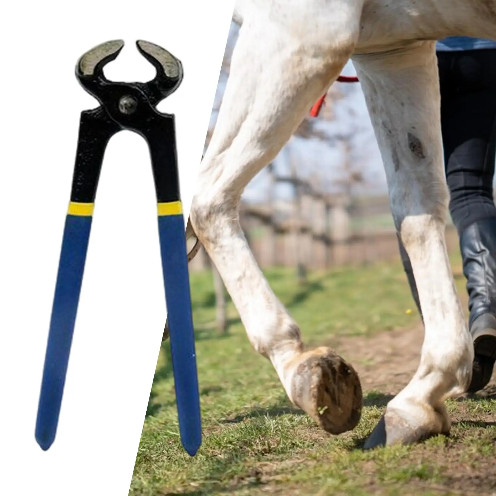 Horse Hoof Trimmer Horse Farrier Tool Multipurpose Convenient Durable Nail