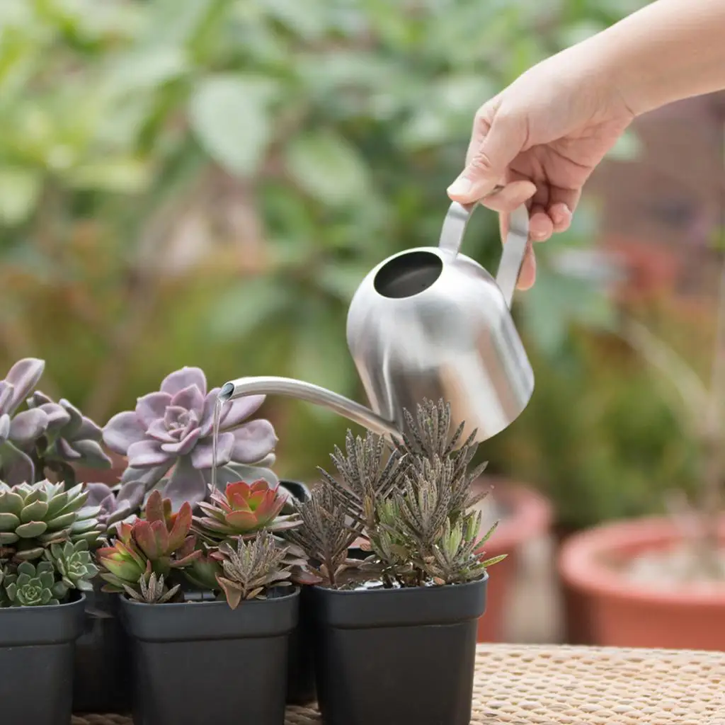 Stainless Steel Small Watering Can Long Nozzle Design Makes Watering More Convenient And Efficient