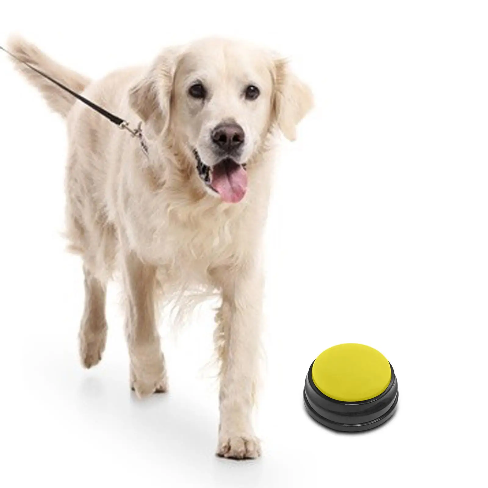 Recordable Sound Button Interactive Toy for Puppy Kitten Communication Kids