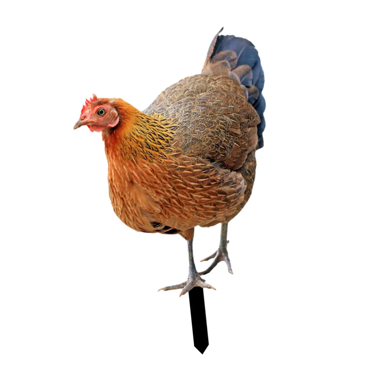 Animal Statue Stakes Hen Ornaments Figurines Weatherproof Sign Floor Decoration Garden for Outdoor Farm Patio Lawn Yard Pathway