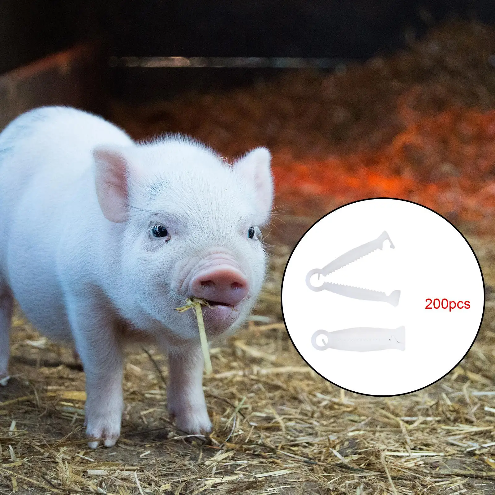 200 Pieces Livestock Birth Supplies farm Supply Disposable Whelping Kits Pig Umbilical Cord Clip for sheep Lamb Pet Animals