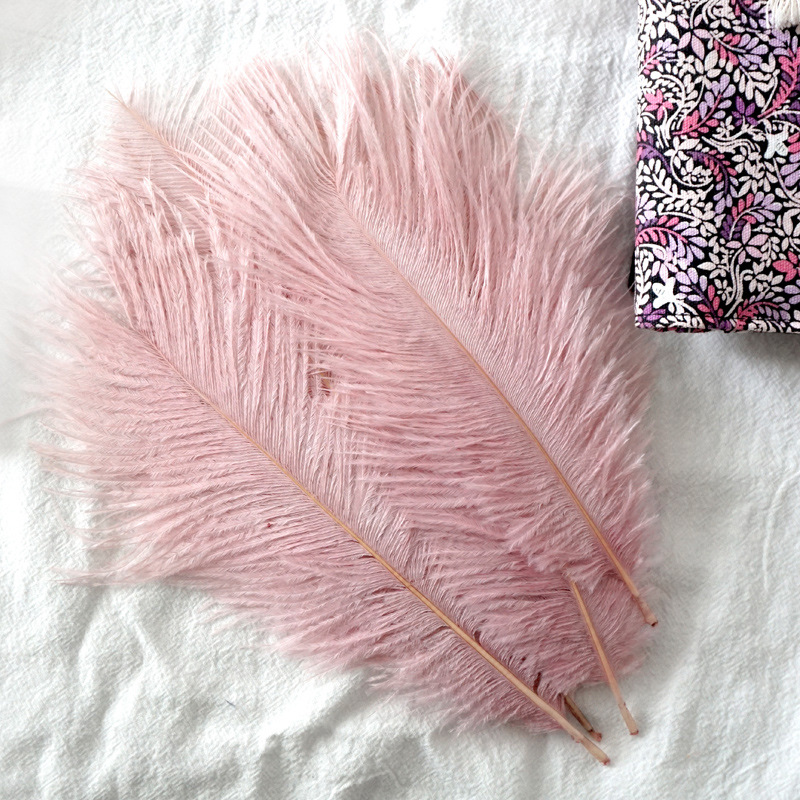 Title 9, INS Ostrich Feathers Photo Props Ornaments Man...