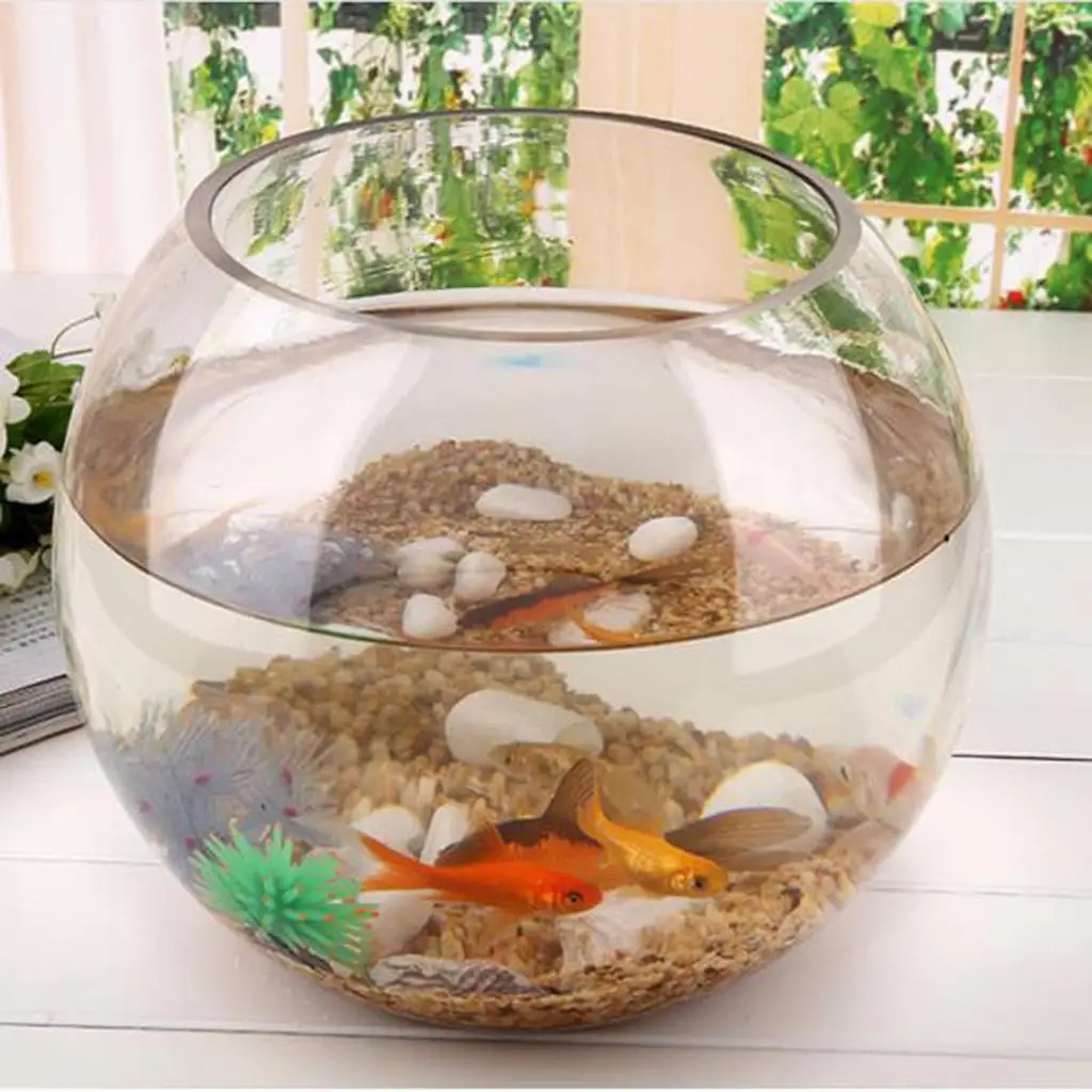 Fish Bowl Glass Plant Pot Fish Tank 6 Inch Decoration Planter for Aquarium