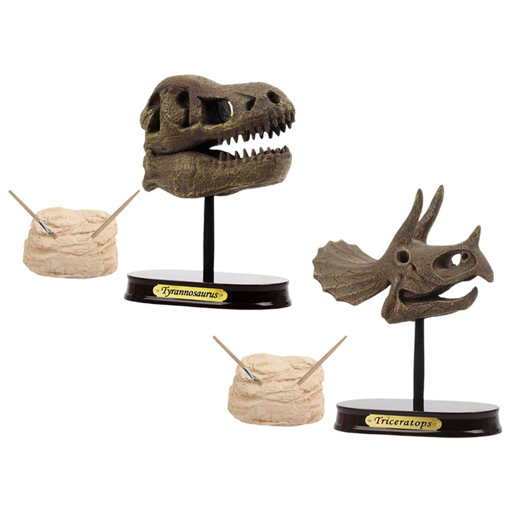 Dinosaur Skull Excavation Toy Tabletop Decor for Collection Decorations Boys Girls