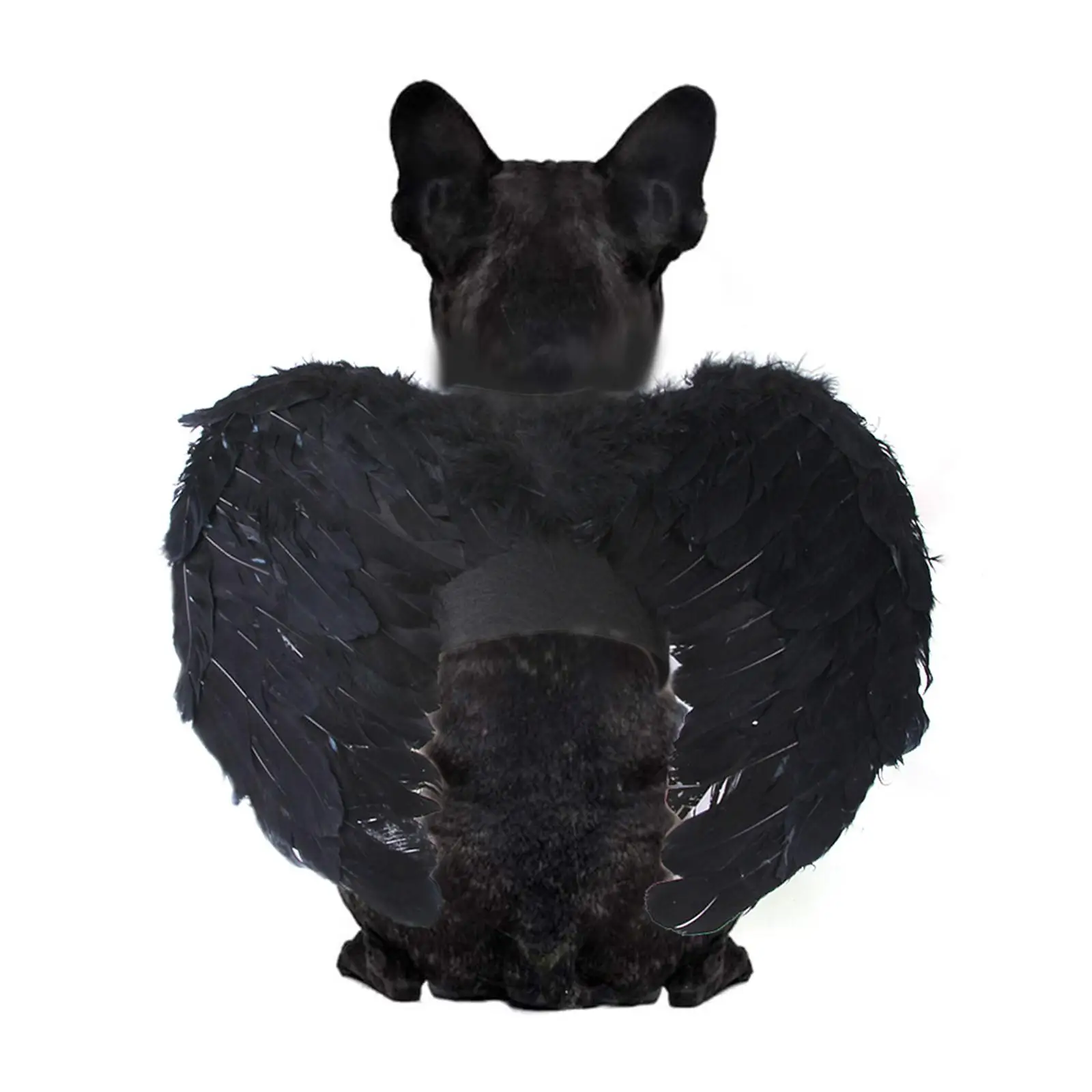 Halloween Angel Wing Costume Pet Cosplay Clothes Cat Clothing Funny Gift Apparel Decoration for Puppy Fancy Dress Holiday