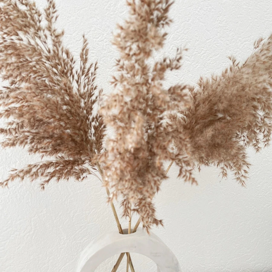 30PCS Dry Flowers for Decoration Party Real Pampas Grass Natural Dried Flowers Bulrush Rabbit Tail Grass Fall Office Home Decor