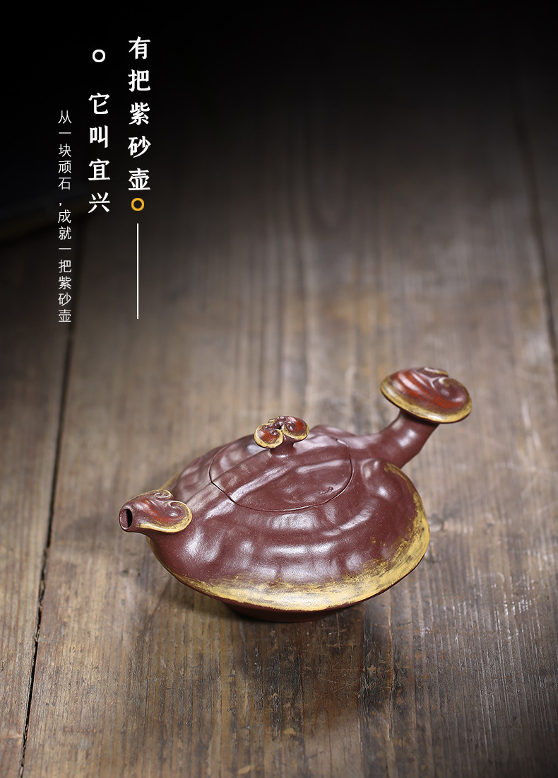 Ganoderma Ruyi_09.jpg