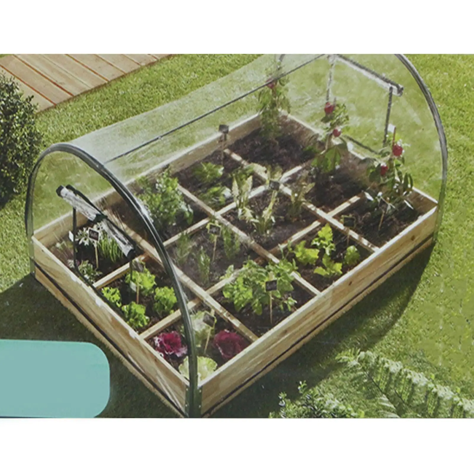 Mini Greenhouse with Clear Frost s Greenhouse for Patio Home
