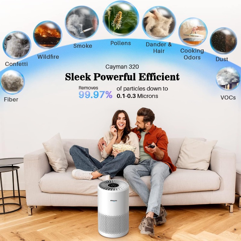 Title 5, Okaysou High CADR Air Purifiers for Home Large ...