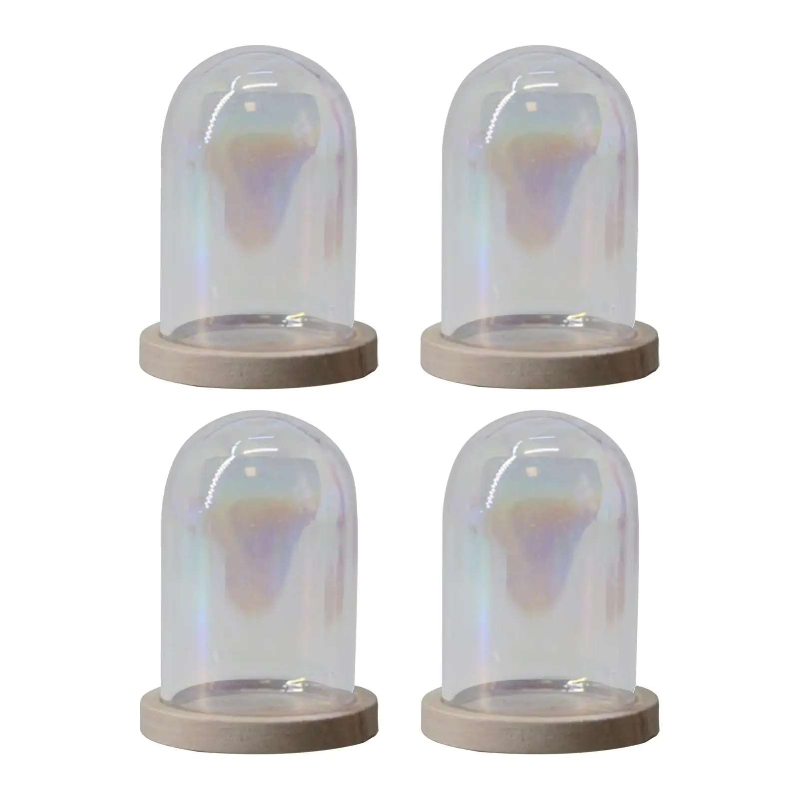 4Pcs Glass Cloche Dome Clear Flower Vase Mini Decorative Glasss