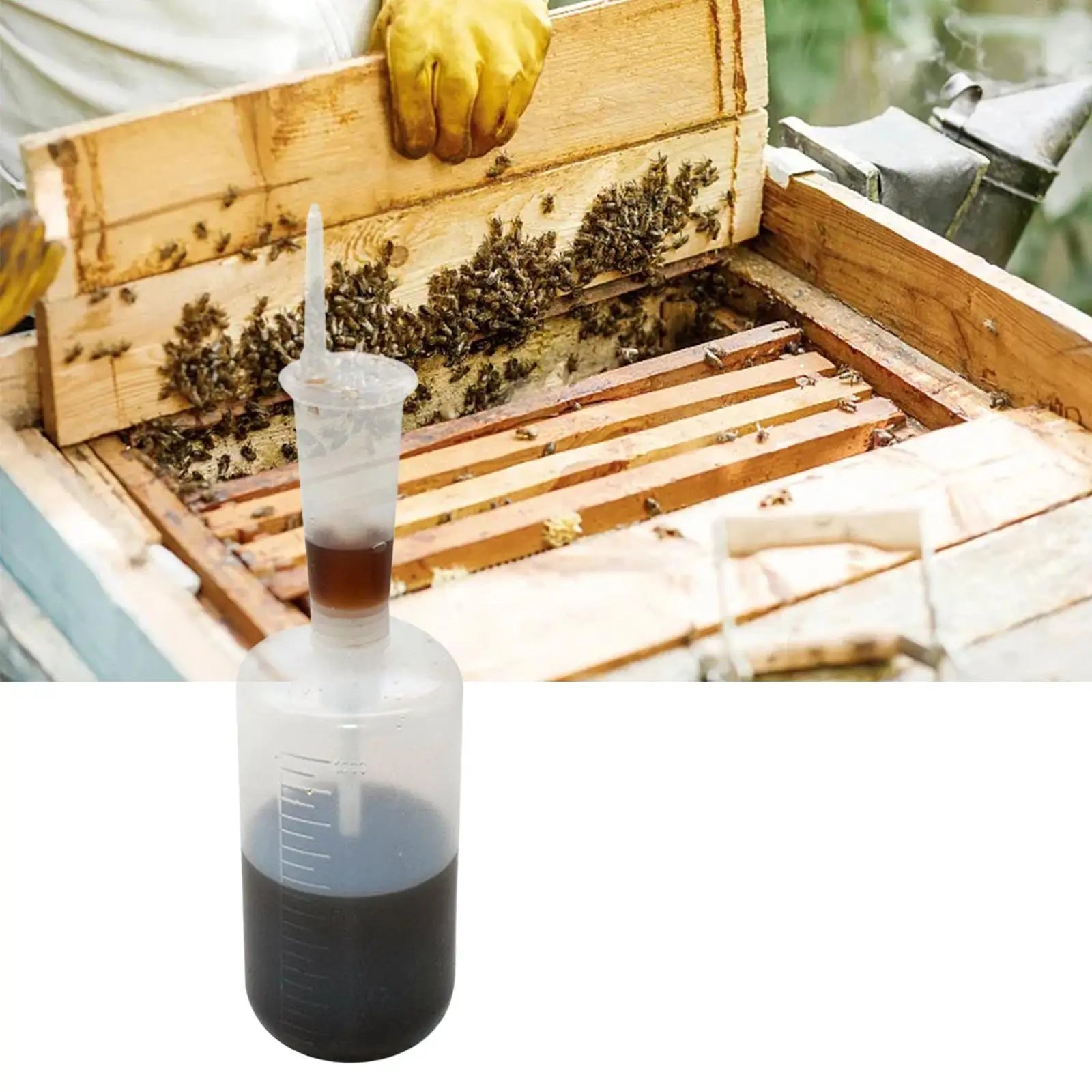 Oxalic Acid Dosage Syringe for Beekeeping Durable White Oxalic Acid Dispenser