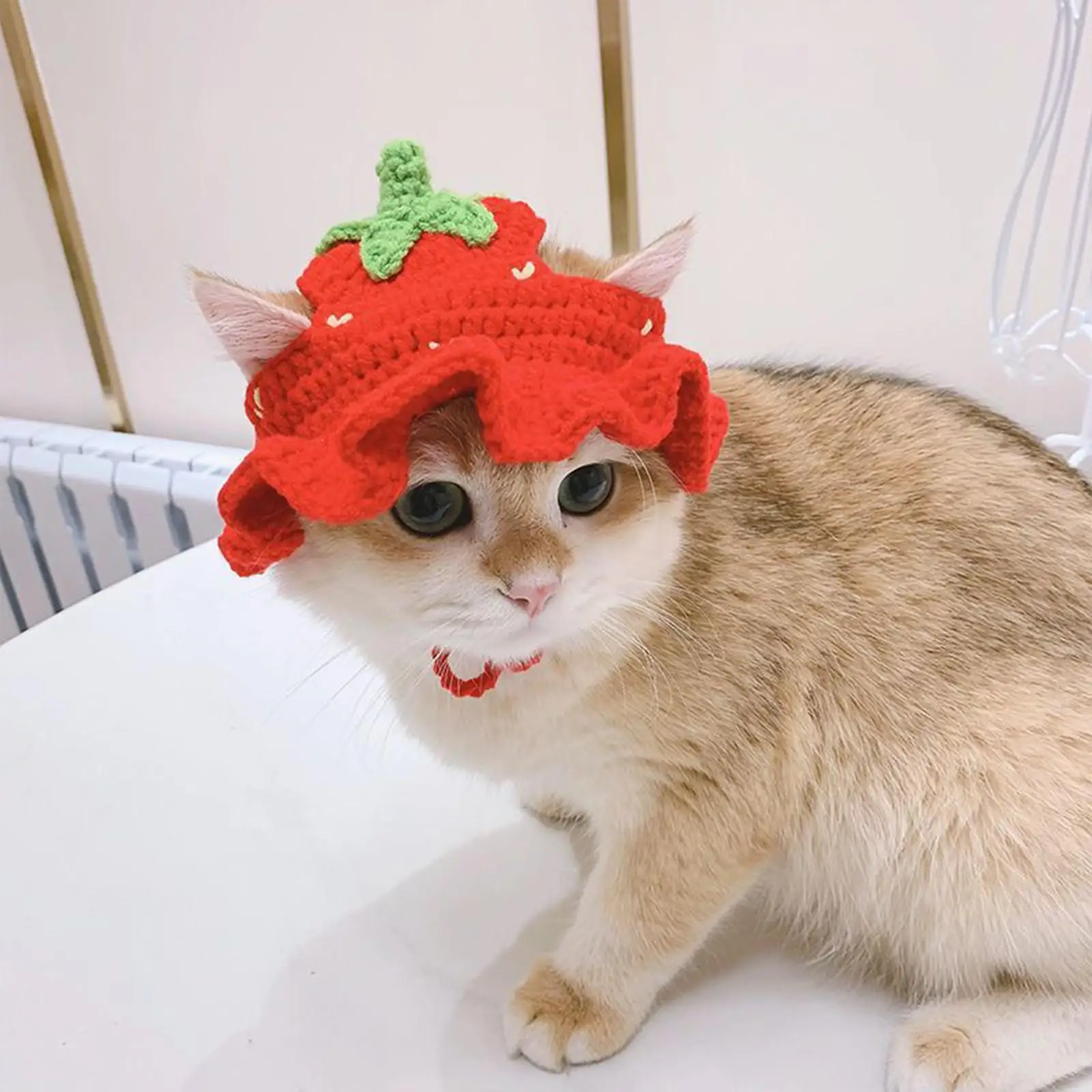 Pet Hat Handwoven with Flower Brim Headwear Adorable Cat Hat for Corgi Small Large Dogs Chihuahua Festival Halloween