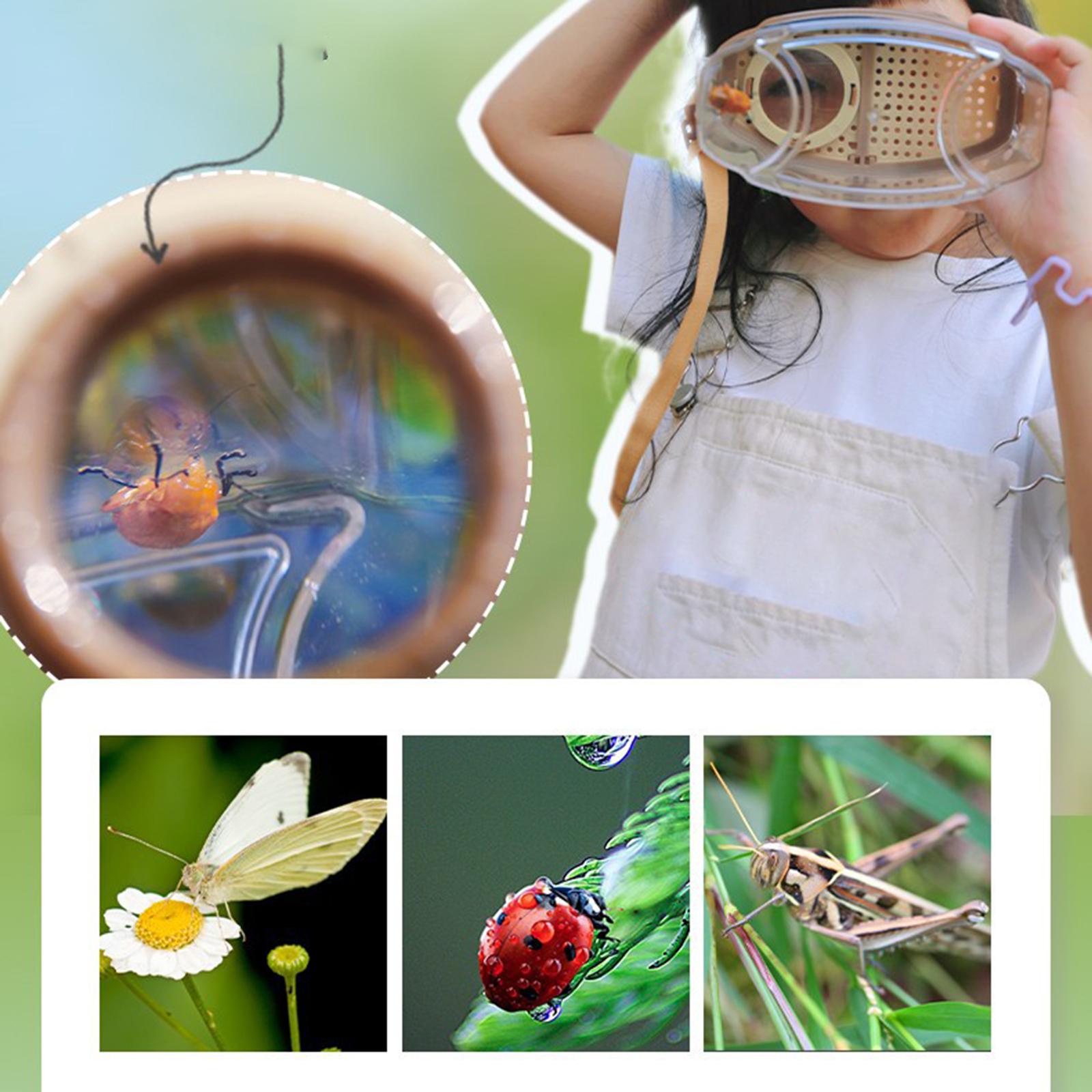 Bug Catcher Kit with Magnifying Glass Observing Learning Discovering Explorating explorer Kit for Collecting Kids