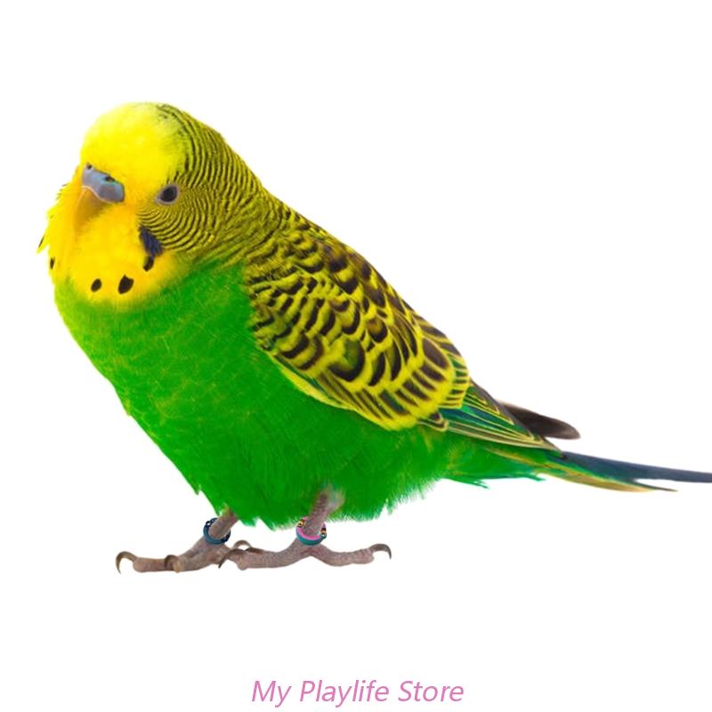 Title 3, Parrot Foot Rings Metal Pet Bird Leg Rings Outd...