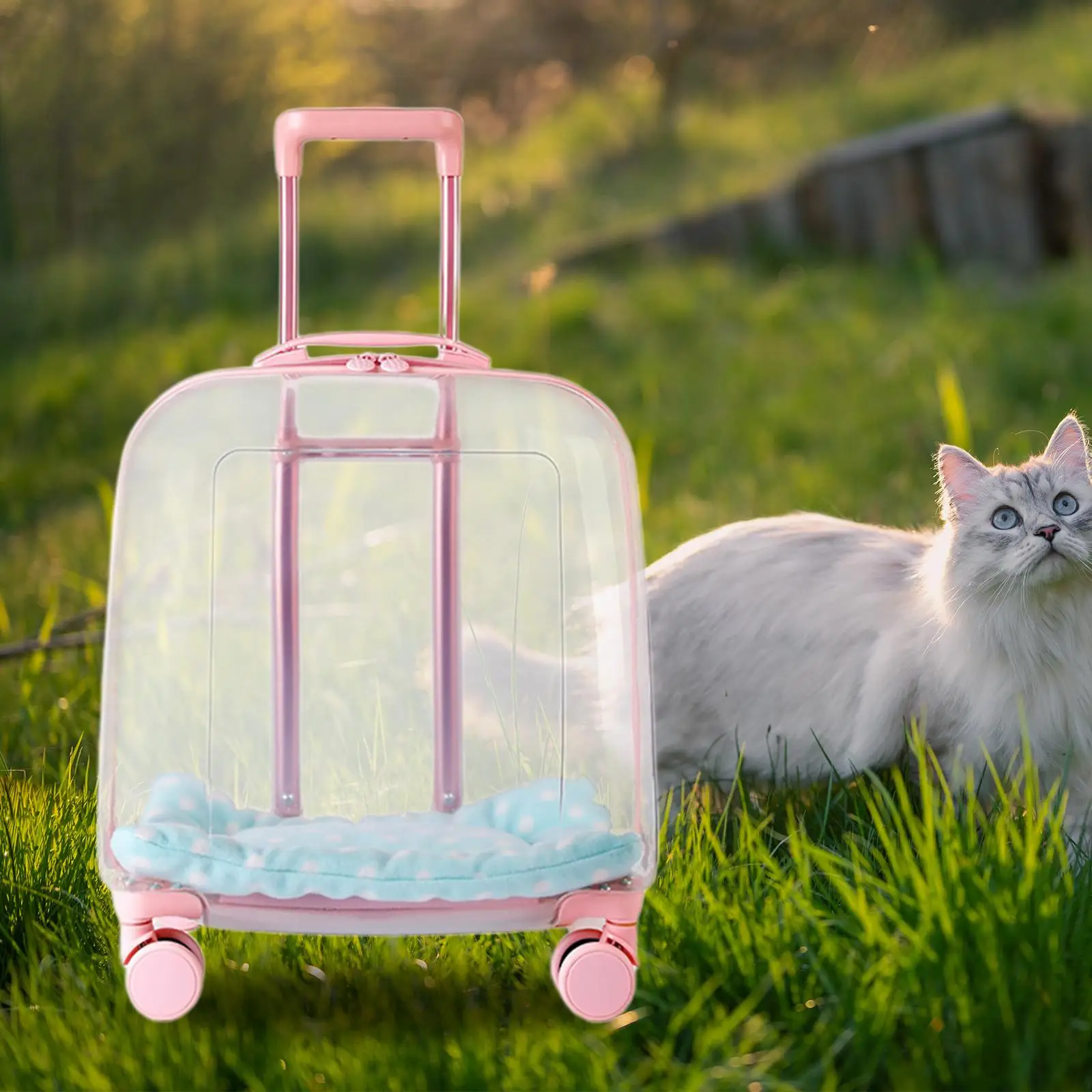 Lightweight Cat Trolley Case Dog Kennel with Silent Wheel Hard Pet Carrier for Kitten Kitty Small Animals Puppy Travel Hiking