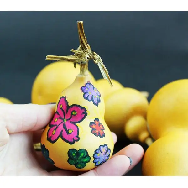 3x Calabash Gourd Chinese  Dried Decorati Decoration  for Chinese