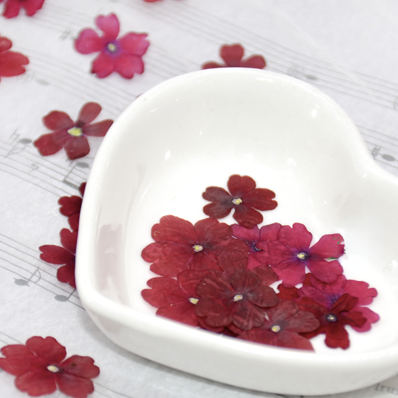 1-2cm/24 Stück, Natürliche Gepresste Sakura-Blüten, Echte Blütenblätter für DIY Kleber-Dekoration Handyhülle Maniküre Gesichtsdekoration – Detail 4
