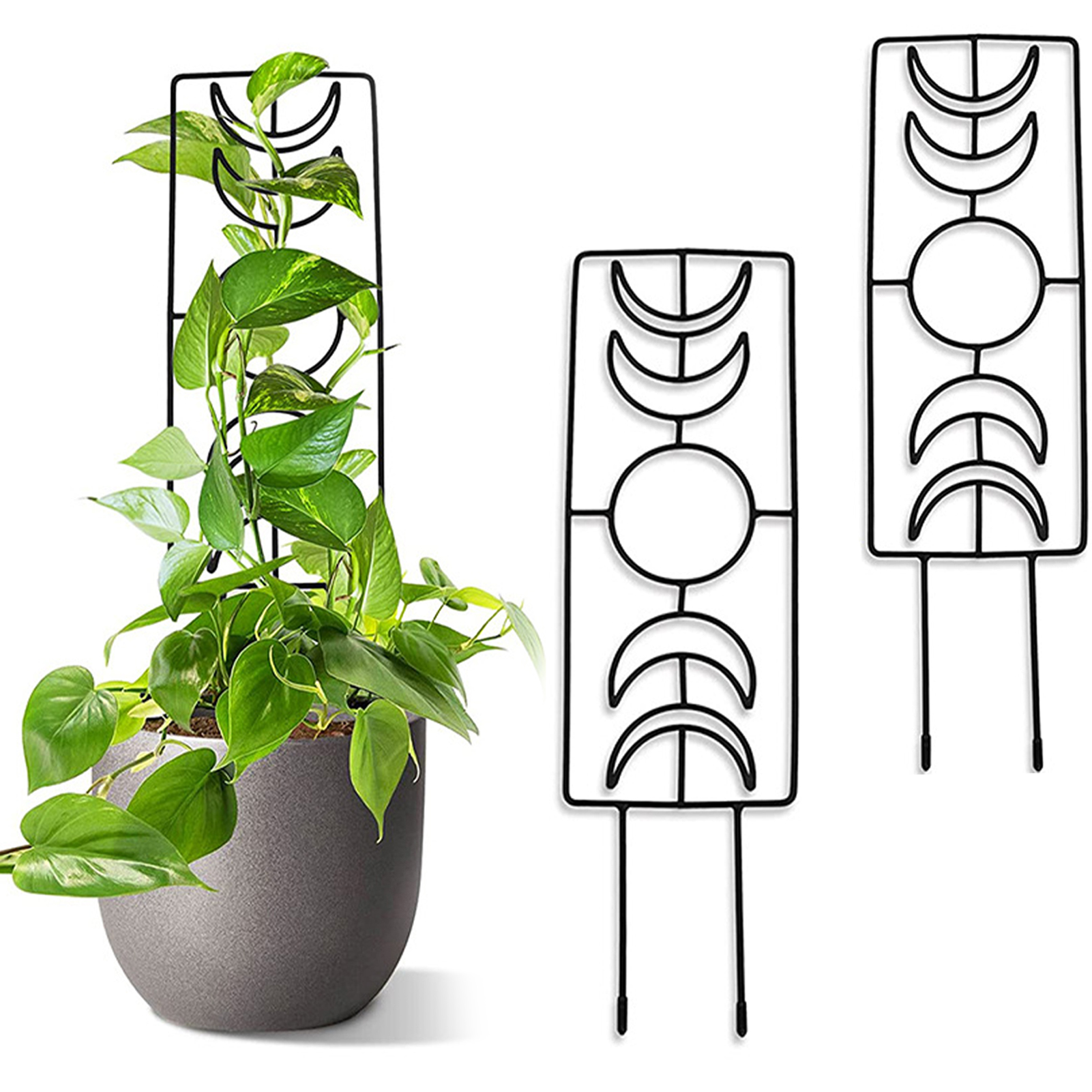 Металлическая проволока для поддержки растений, подставка для помидор, 2  шт., для дома, украшение для дома, стойки для цветов, стойки,  Геометрическая луна, для скалолазания | AliExpress