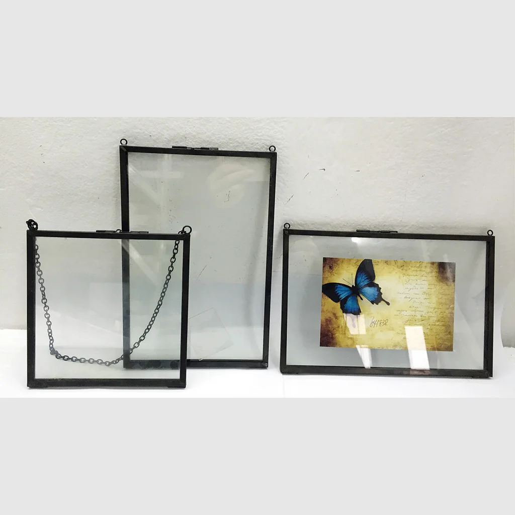  Glass Metal Picture Photo   Dried Plant Preserver Holder, for Home Party Decor