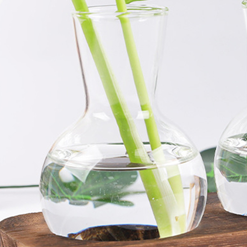 Description Picture 4 of itemHydroponic Plants Container Plant Glass Test Tube Terrariums Vase in Wooden Stand Flower Pots Hydroponic Plants Test Tube Vase