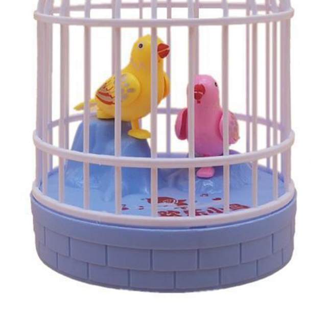 Toy canary sales in cage