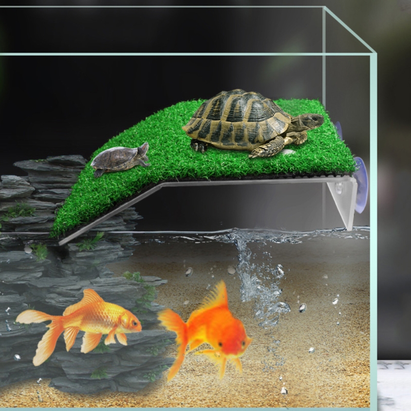 Title 8, Fish for Tank Suction Cup Tortoise Climbing Pla...