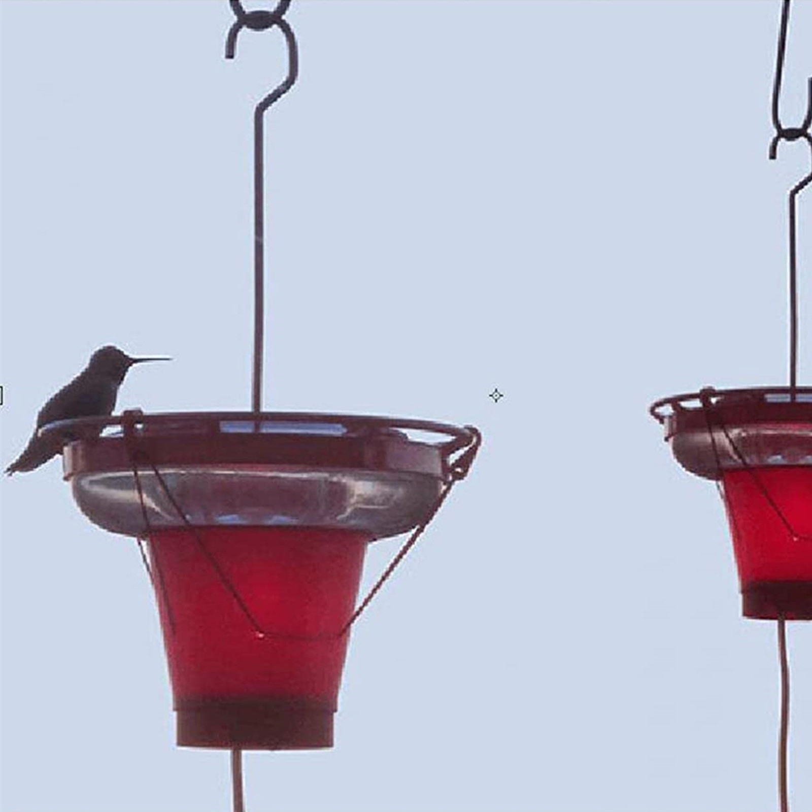 Title 5, Heated Hummingbird Feeders For Outdoors Warmer ...