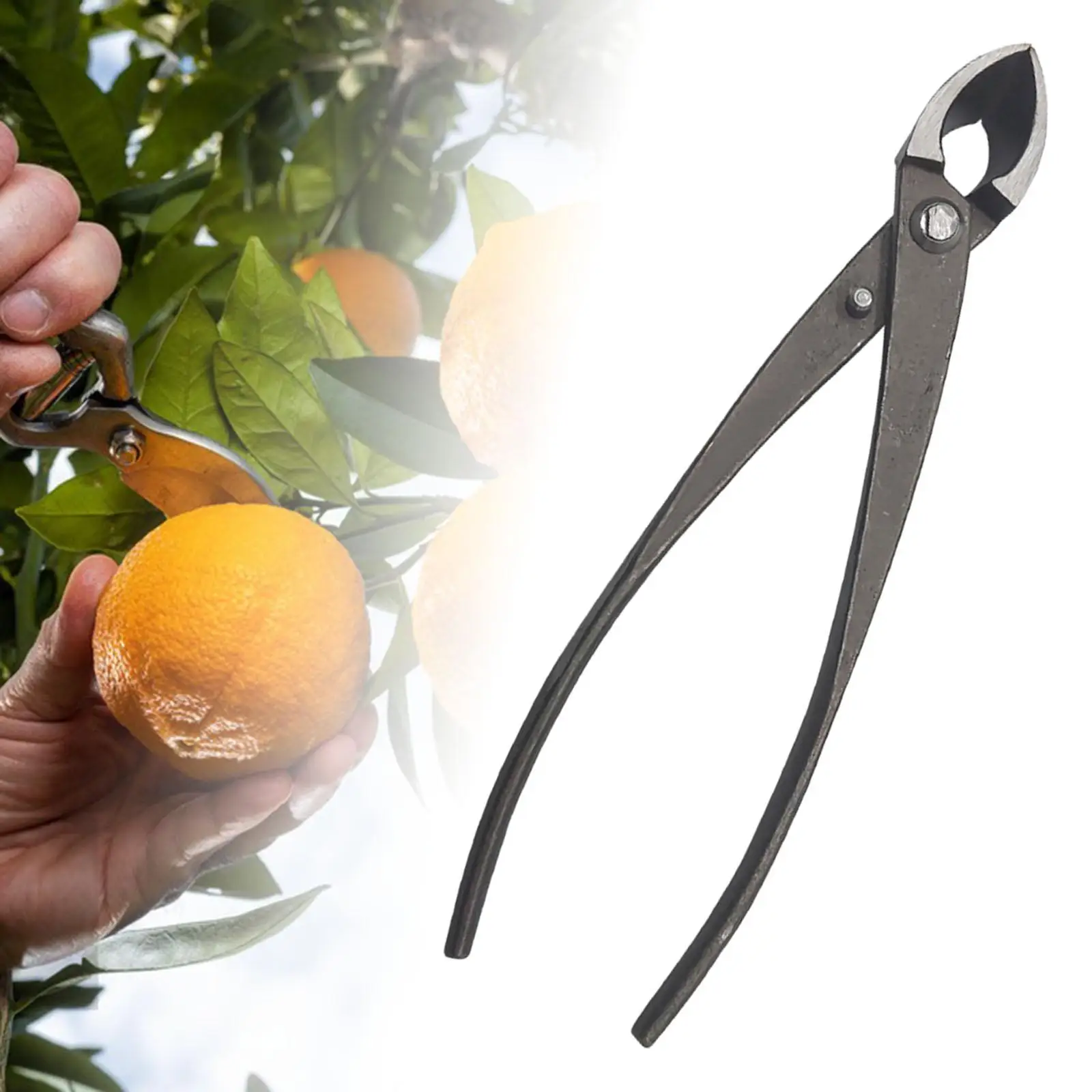 8inch Garden Branch Cutter Beginner Scissors Cutter Pruning Shear for Bonsai