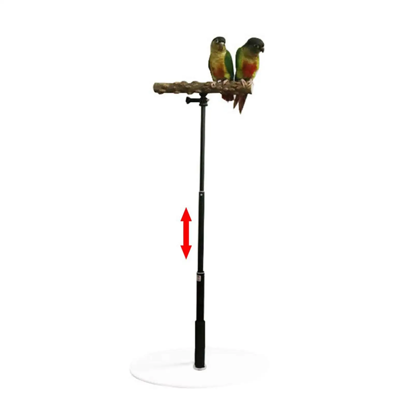 Bird Perch Parrot Training Tee Play Stands Playstand T Stand Conures Cockatiel Parakeets Bird Cage Accessories