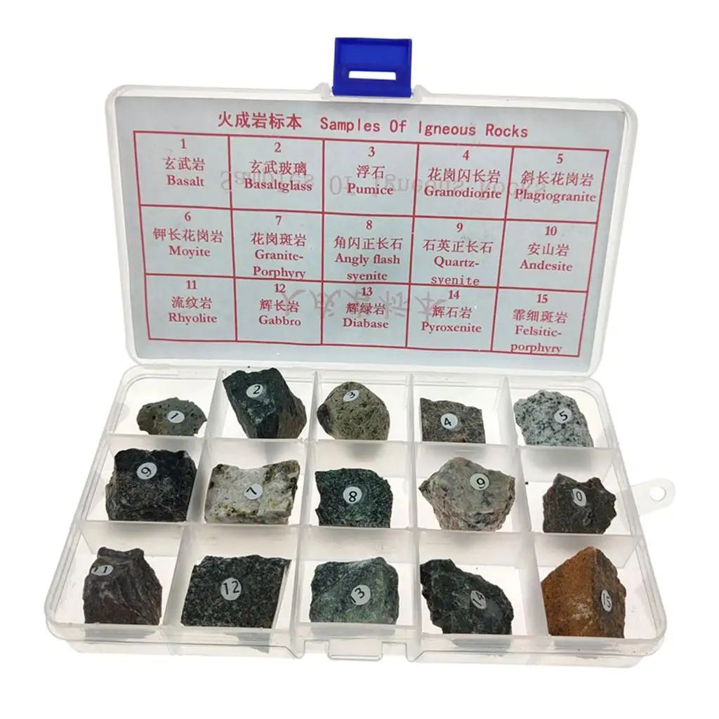 15pcs Igneous Rock Specimen Rock Teaching Aid Supplies w/ Box Ages 8 up