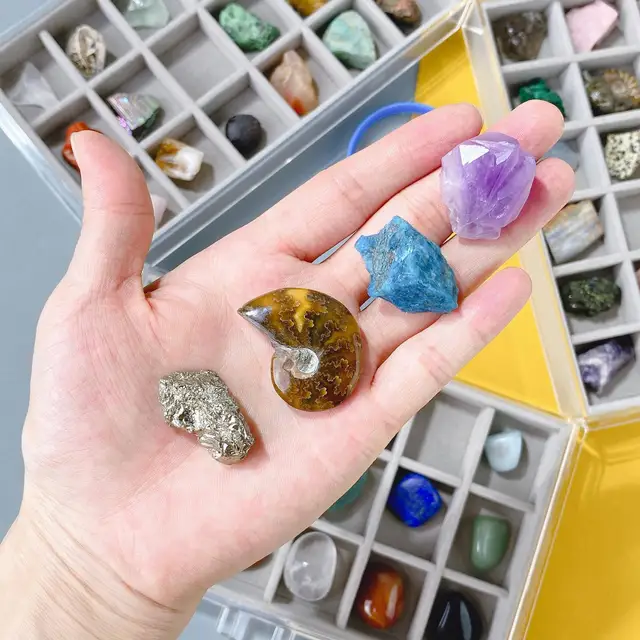 Rock Collection for Kid Science Education Toys 3 Layer Display Box Geology  Science Learning for Boys