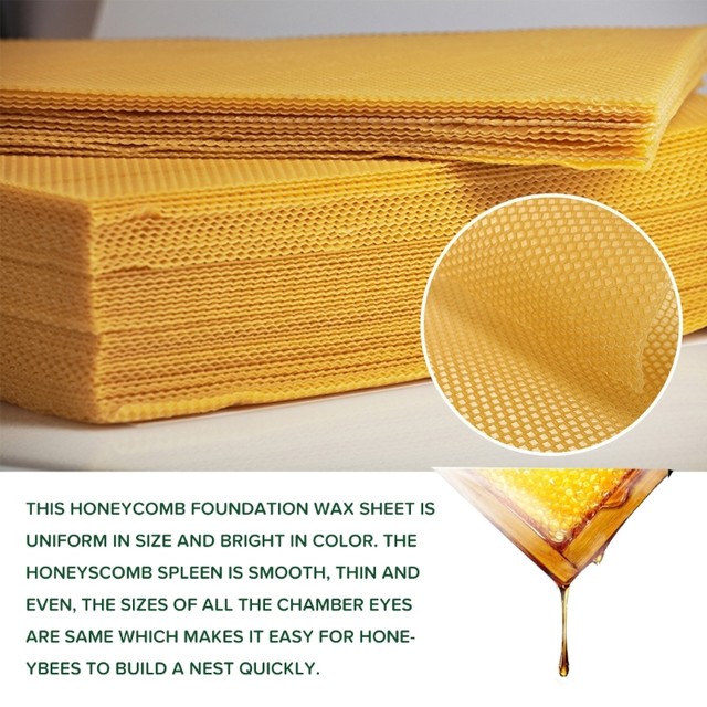 Yosoo 10Pcs Natural Beeswax Sheets Beeswax Honeycomb Sheets Wax Foundation  Bee Hives Kit Beeswax Sheets For Candles Making Furniture Floor Polishing