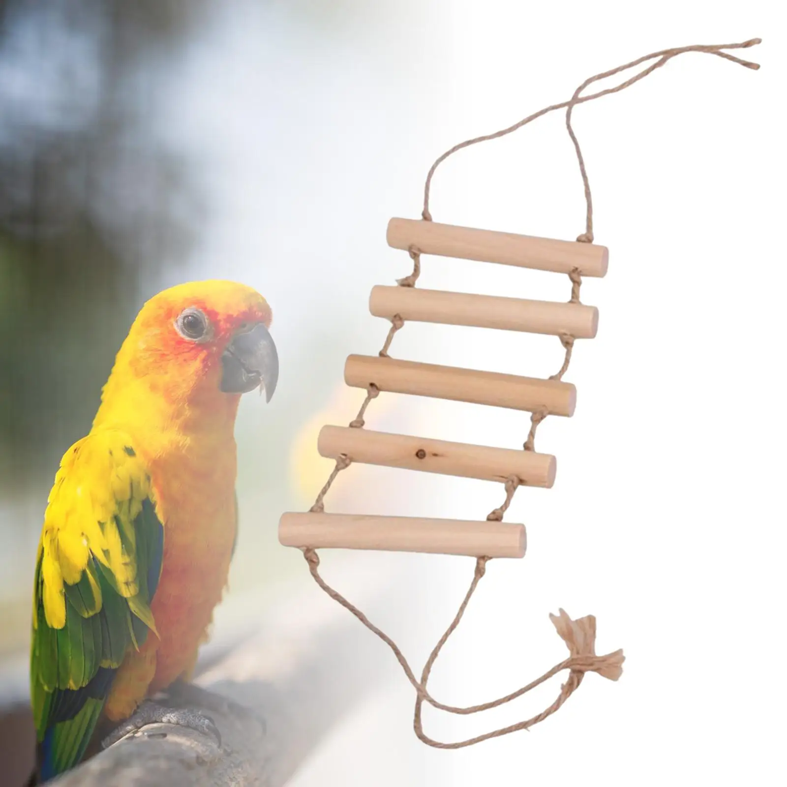 5 Floor Parrot Swing Climbing Chewing Bite Birds Bridge Ladder for Lovebird Conures Cockatiels Small Medium Large Birds Training