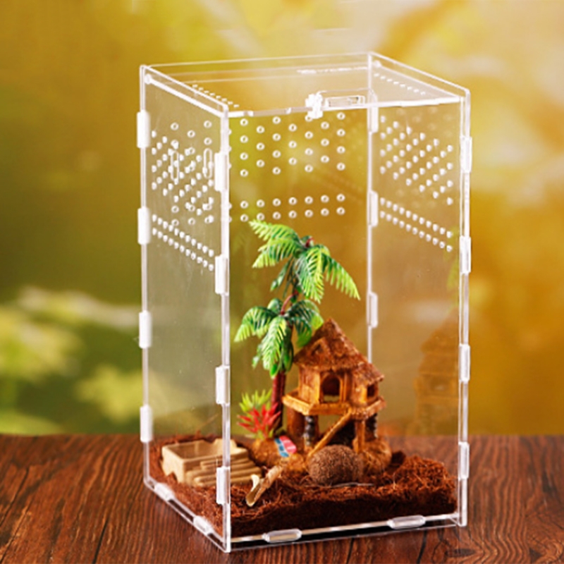 Title 1, Insect Feeding Box Transparent Acrylic Terrariu...