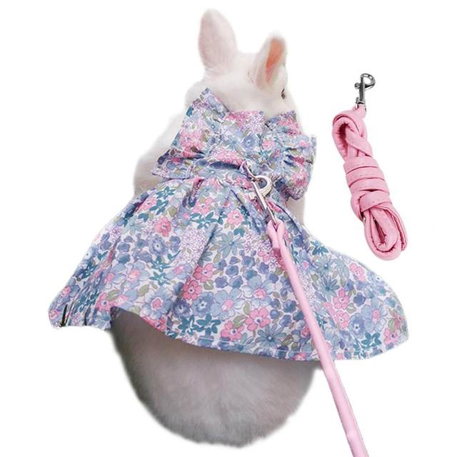 Princess Dress Bunny | Bunny Dress Animal | Pet Rabbit Dress