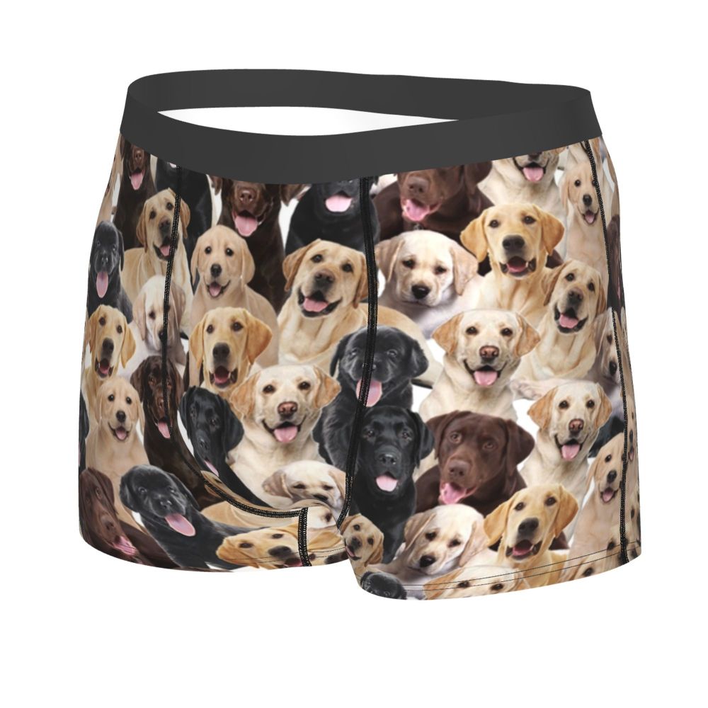 Labrador Cute Dog Boxer Briefs Shorts Panties - premium mart