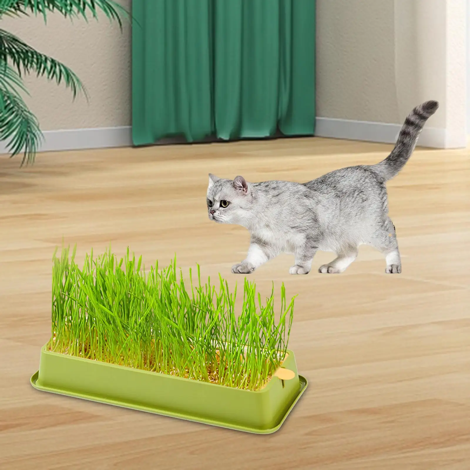 Seed Sprouter Tray Hydroponic Cat Grass Box Soil Free Sprouting Container Cat